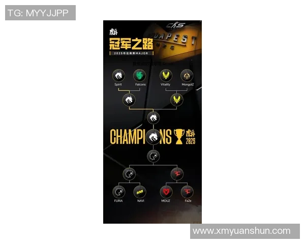 最新CSGO战术排行榜揭晓TES团队表现卓越引领潮流